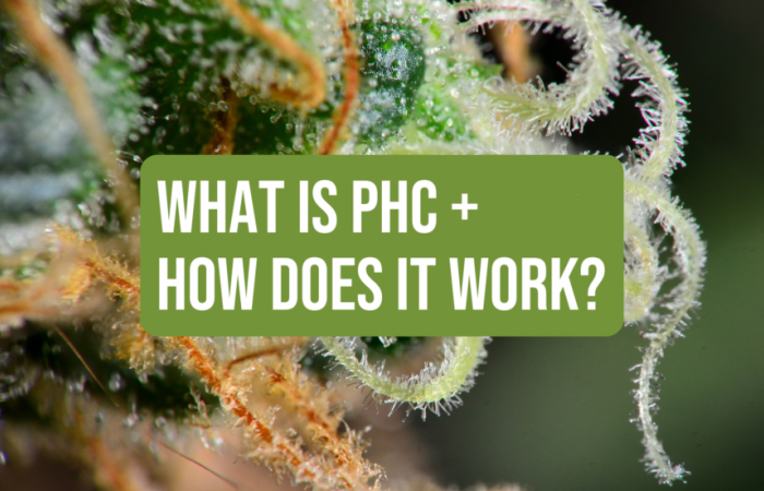 Τι είναι το PHC;