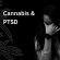 Κανναβιδιόλη & Μετατραυματική Διαταραχή Άγχους (PTSD)