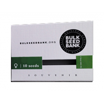 Bulk Seed Bank | 10 Feminized Seeds